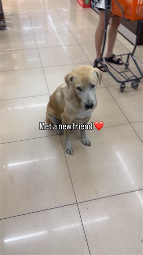 Hana Ruby 🌸 on Instagram: "Wanted to share this cutie with you 💗"