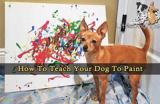 How To Teach Your Dog To Paint 🐾 Little Dog Tips