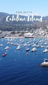 Summer vibes are in full swing—don’t miss the boat! 🌴☀️ Grab your tickets, pack your sunnies, and hop aboard the Catalina Flyer for the ultimate weekend escape. Say goodbye to your inbox and hello to island time—because this staycation’s not going to book itself! With dolphins, beaches, and boat rides, it's the perfect weekend adventure—just 75 minutes from Newport. Let’s make waves! 🌊🚢 #weekendgetaways #catalinaflyer #summergetaway Book your salty, island-breezy trip today! 🛥️ @catalinaflye