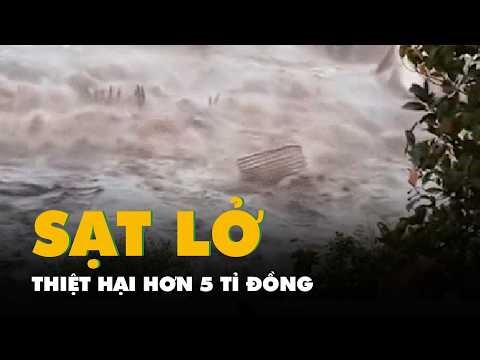 Khoảnh khắc sạt lở bờ kênh khiến hơn 100 tấn cá tra bị cuốn ra sông, thiệt hại hơn 5 tỉ đồng
