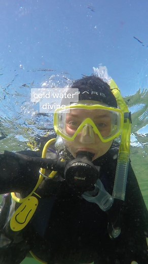 Exploring Nova Scotia Underwater: Cold Water Diving Adventures