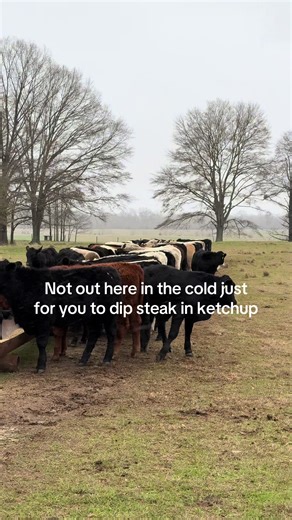 Cattle Handling Tips for Cold Winter Weather
