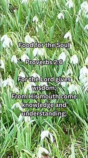 Proverbs 2:6 Explained: God's Gift of Wisdom, Knowledge, and Understanding