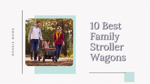 10 Best Stroller Wagons [for Families On the Go!]