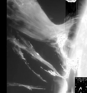 • A Prominence Eruption with a M-class Solar Flare • We can see prominence erupting to interplanetary space. A flare occurs simultaneously at the bottom region of the eruption. (Observed by Solar Optical Telescope (SOT), wavelength: calcium H line [396 nm]) [Instrument: Hinode/ Solar Optical Telescope (SOT), Wavelength: 394 nm Calcium H line)] Occurred on 16 April 2012. • Credit: “NAOJ, JAXA, NASA/MSFC” | Astronomy Nation