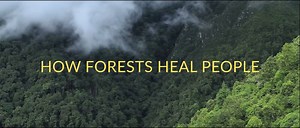 201K views · 1.5K reactions | Learn how forests have the ability to...