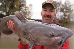 On the Move for Late-Season Channel Cats - In-Fisherman
