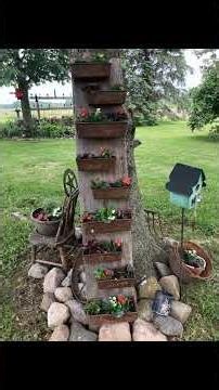 Modern Garden Designs That Look Amazing
