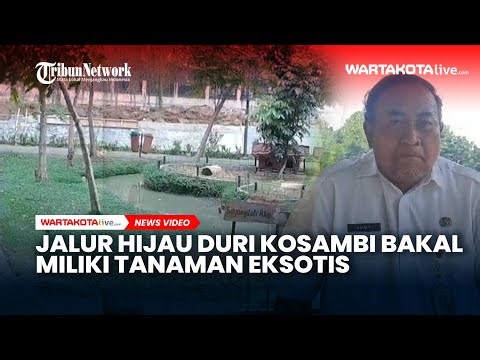 Jalur Hijau Duri Kosambi Bakal Diperluas, Dilengkapi Botanical Garden Tanaman Eksotis