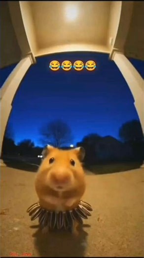 hhhhhhhhhhh 😂😂😂#funny #dance #music