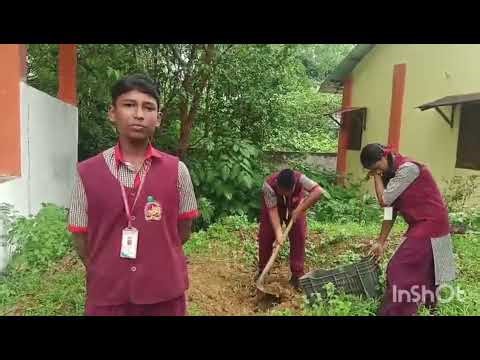 Segregating Waste & Composting: Easy Steps to Save Our Planet 🌱♻️