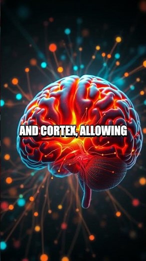 Memory Maps of a Quiet Time Traveler