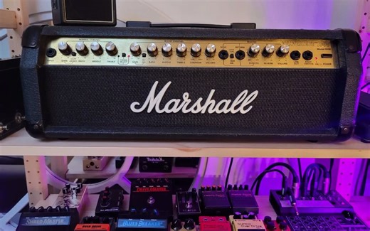Marshall Valvestate 8100 vs. Marshall JCM800 2205