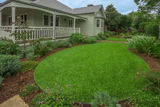 Sir Walter Buffalo - DNA Certified Turf | Melbourne & Geelong