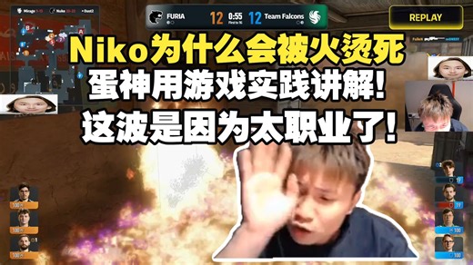 DANK1NG讲解Niko为什么会被火烫死，蛋神用游戏实践讲解这波是因为太职业了！