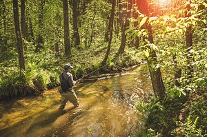 The BIG Question - Wading Pants or Chest Waders?
