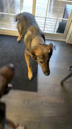 The Sweetest Welcome Home