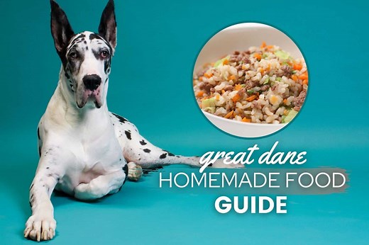 Great Dane Homemade Dog Food Guide: Recipes & Nutrition Advice - Canine Bible