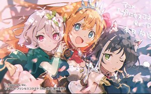 公主连接日服露娜塔420EX自动参考作业