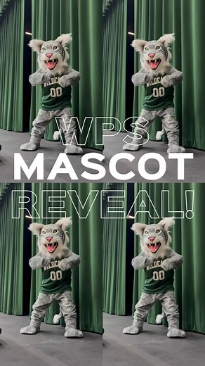 Willows Preparatory School on Instagram: "Meet our new Wildcat! 🐾 The spirit of Willows Prep just got a little wilder. But what will their name be? 👀 Our entire student body is weighing in, stay tuned to see what name rises to the top! 💥 #WillowsWildcat #MascotReveal #WillowsPrepPride #WeAreWillows #mascot"