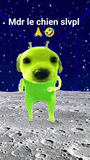 #alien chien 🤣