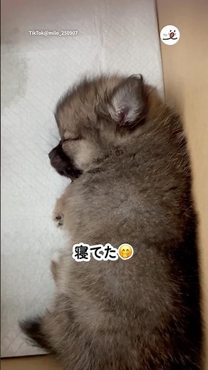 Take a look on the day you pick them up... | PECO