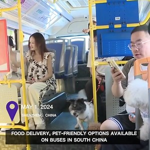 WATCH VIDEO：The public bus system in the southern Chinese tech hub Shenzhen is trying-out different passenger perk programs - including a pre-order breakfast service. For those who wish to travel with their pets, the Shenzhen Bus Group has also launched the city's first animal-friendly line. Pet owns say the new route, which operates on weekends and holidays, provides a new option for them to explore the city with their furry friends. | ShanghaiEye