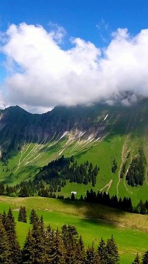 วิดีโอของ Bitnerd Digital (@bitnerd.digital) พร้อมเพลง original sound - Free☘ - Ma Ma Tar Online Shop 🛍️