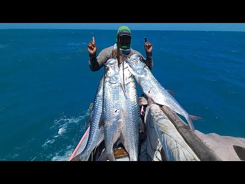 (Guerreiros Do Mar) 4 PEIXES GIGANTES, CAMURUPINS DE 70 KG E MUITA LUTA DO PESCADOR COM OS PEIXES