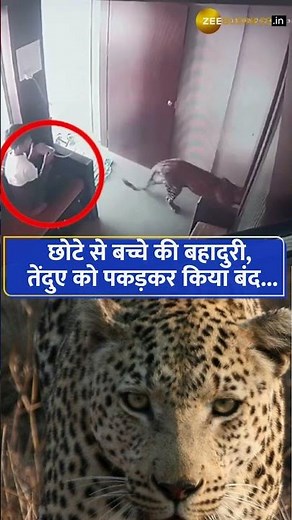 Incredible bravery: 12-Year-Old Boy Saves Entire Village from Leopard Attack in Nashik!