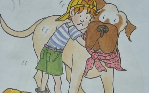 Henry & Mudge all 28 books in one box