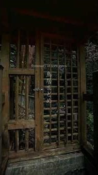 鳥居のまとめ/ Summary of torii gates