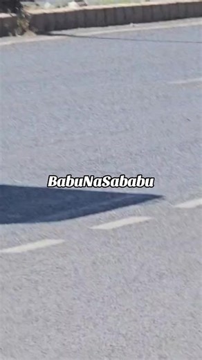 Exploring Babu Na Sababu by Mbote Njogu