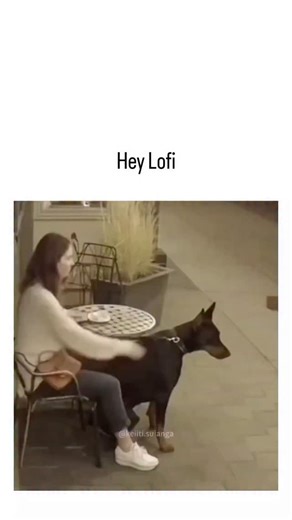 buzz__decode on Instagram: "This post shares a 89-second compilation video of real CCTV footage depicting dogs instinctively protecting owners from threats like car accidents, intruders, bears, and loose dogs attacking, captioned simply with a link and quoting a prompt for engaging clips. Scientific evidence supports these behaviors: a 2024 Nature study shows dogs alter cognition based on human stress odors alone, while heightened hearing and smell enable threat detection, as per Applied Animal