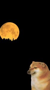 1.1M views · 60K reactions | Nos encontramos a Lizbeth en las calles del pueblo mágico de santiago, Nuevo León!! vendiendo artesanías! Platicamos con ella y decidimos cambiarle el día ! Véanlo hasta el final !! 來☺️鸞朗﫢 . . . . . . . . #diversion #parati #ayudahumanitaria #Facebook #like #fypシ゚ #fypシ゚viralシreels #followers #archiecomedy #reelsfypシ #reelsviral #virals #reels | Archie Comedy | Facebook