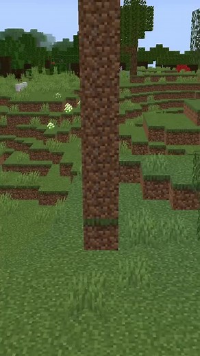 #minecraft #minecraftbedrock #minecraftbuilding #minecraftpvp #minecraftmemes #minecrafthacks