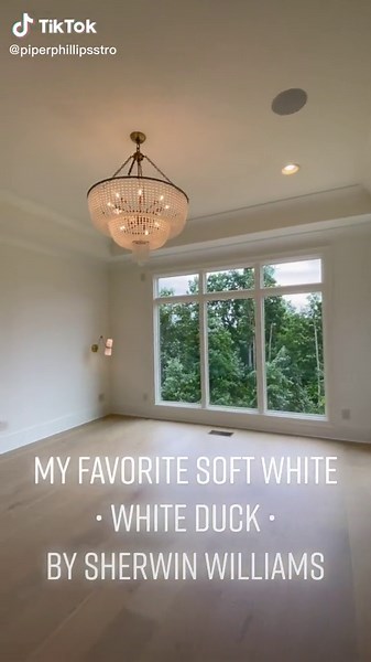 Sherwin Williams White Duck Paint for Interior Design