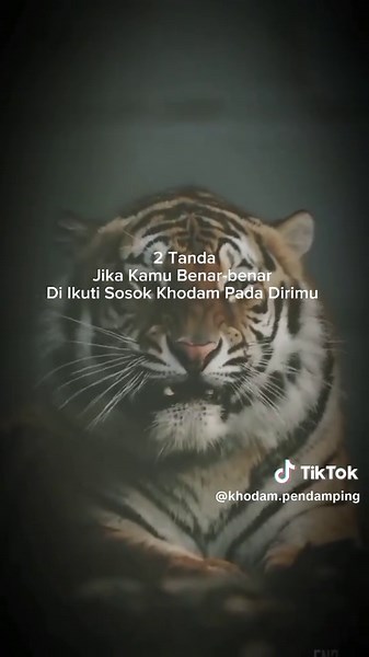 jangan lupa follow like salin tautan berkomentar 🙏 Jika tanda tanda berikut ada dalam dirimu silahkan berkomentar nama sama hari lahir akan ku bantu lihat apa yang ada di dalam dirimu??? #fyp #khodam #khodampendamping