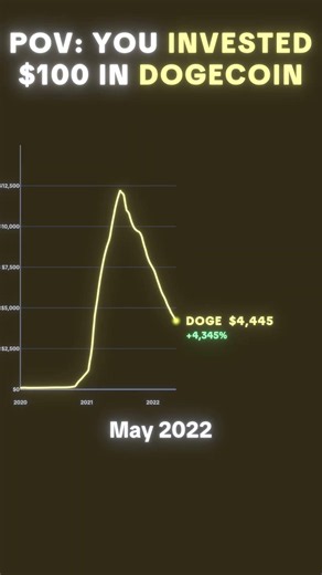 POV: You Invested $100 in DOGEcoin (DOGE) 📈 #shorts