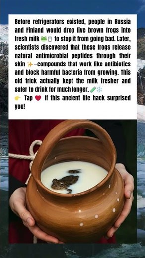 The Frog Trick That Kept Milk Fresh 🐸🥛😳