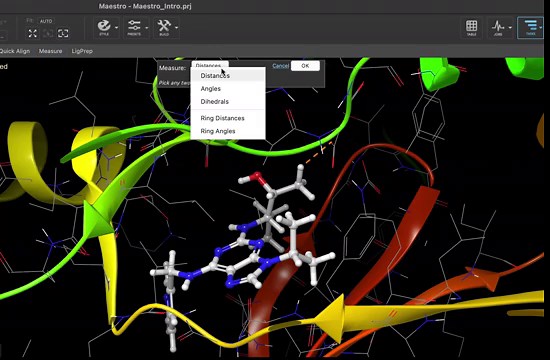 Learn Maestro: Workspace toggles in Maestro