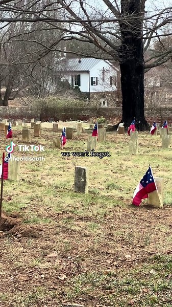 Exploring Dixie Land: A Cultural Insight