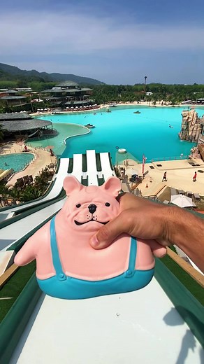 Crazy Dog Waterslide Fun: Thrilling Waterpark Adventure