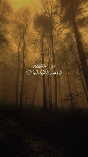 سورة المزمل عبد الرحمن مسعد اذكروا الله