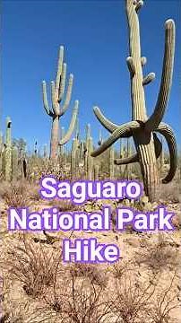 Saguaro National Park Hike and Historic Tombstone, Arizona