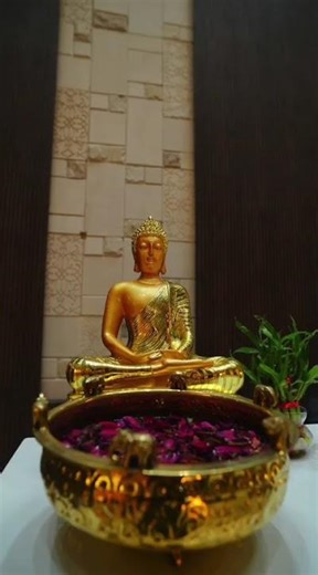 Best Hotel in Siwan 🏨 | Rooms, Banquet & Restaurant Tour | Everything Under One Roof