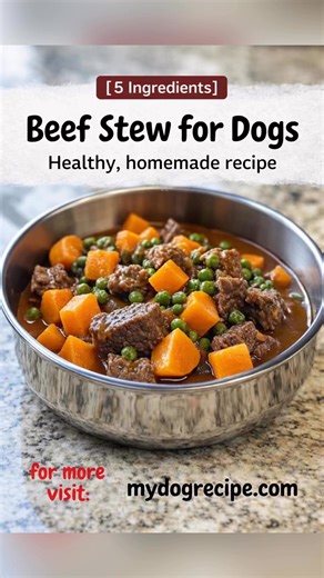 🐶 Beef Stew for Dogs Healthy, homemade recipe 🥣 Ingredients: • 1 cup lean ground beef or diced beef (cooked, plain, no seasoning) • 1/2 cup sweet potatoes (peeled, diced, and cooked) • 1/4 cup carrots (diced and cooked) • 1/4 cup green beans (chopped and cooked) • 2 cups low-sodium beef broth (unsalted) How to make: 1️⃣ Cook the beef in a pan until fully done. Do not add salt, oil, or seasoning. 2️⃣ In a pot or bowl, combine the cooked beef, sweet potatoes, carrots, and green beans. 3️⃣ Pour i