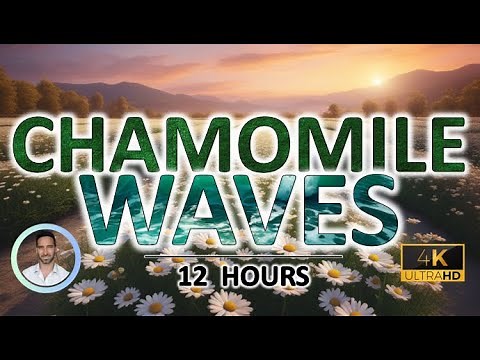Relaxing Chamomile Waves for Deep Sleep | 12 Hours | BLACK SCREEN | Tinnitus & Anxiety Relief