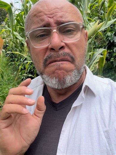 Toda la naturaleza de Dios te da lecciones. #finca #Joseordoñez #maiz #cafécolombiano