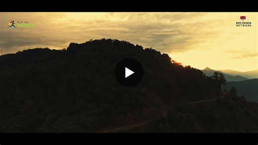 INTERNATIONAL RED PANDA DAY | TRAIL MARATHON | 48 KM | TAPLEJUNG NEPAL | Red Panda Network